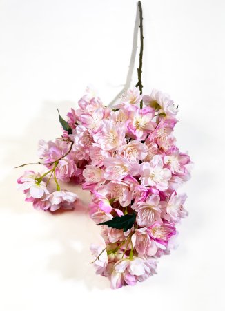 Ветка яблони "Мелба" розовая