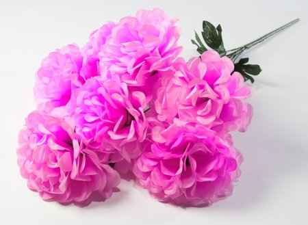 Букет шафрана "Великан" 7 цветков