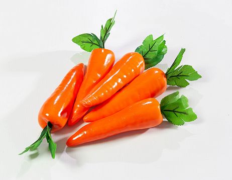 Морковь от магазина KALINA являющийся официальным дистрибьютором в России 