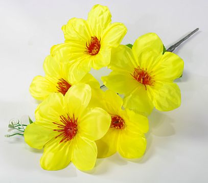 Лилия "Серебряная чаша" 5 цветков от магазина KALINA являющийся официальным дистрибьютором в России 