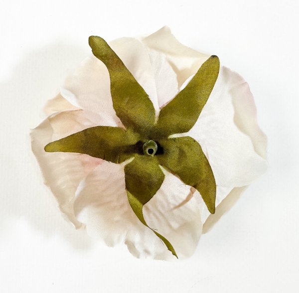 Насадка розы "Свадьба" персик