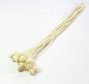 Краспедия 3