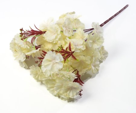 Букет яблони "Майя" 5 веток