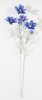 Ветка космеи синяя