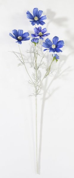 Ветка космеи синяя