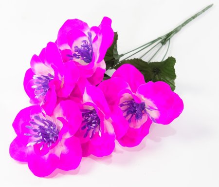 Нарцисс "Джувел" 5 цветков