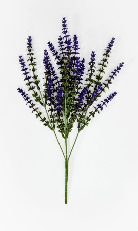 Лаванда Бичвуд Блю