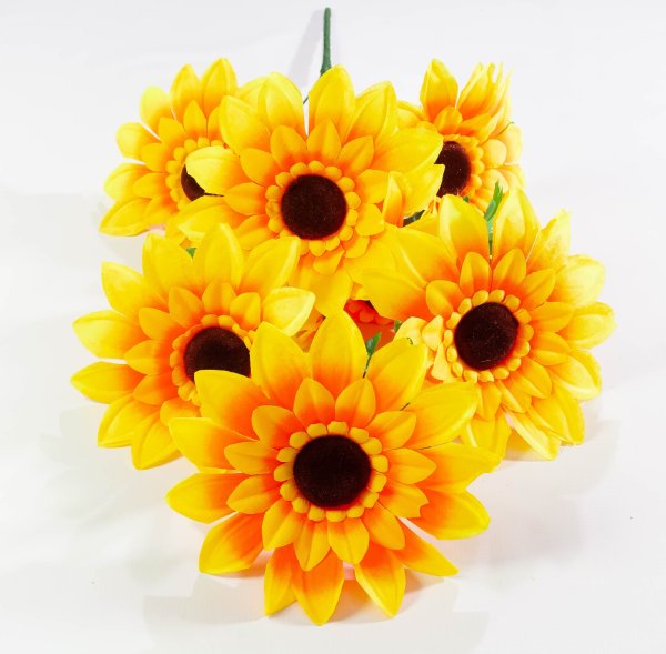 Подсолнух гигант