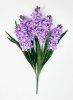 Гиацинт 5 соцветий