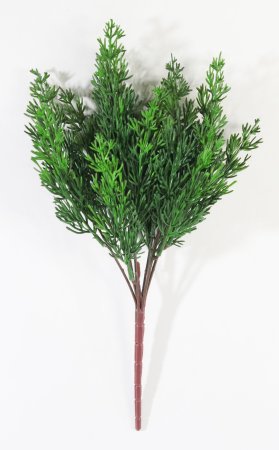 картинка Ветка туи темно-зеленая от магазина KALINA