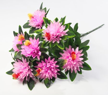 Хризантема "Ариадна" 7 цветков