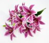 Лилия "Супер гигант" 9 цветков