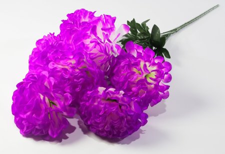 Букет шафрана "Великан" 7 цветков