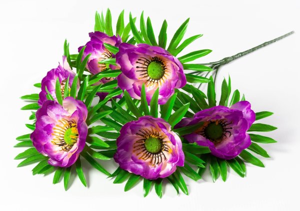 07d7a4a566d0a87b8c837837e722bf1e