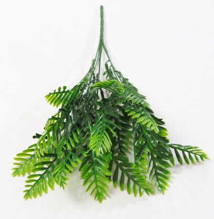 картинка Ветка платицериума от магазина KALINA