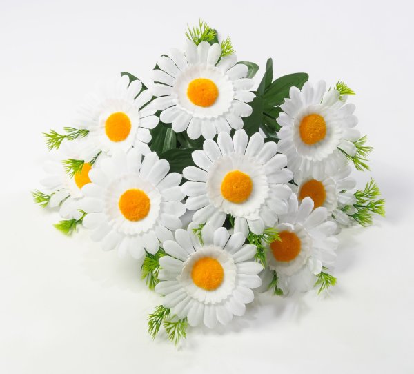Ромашка "Армада" 9 цветков