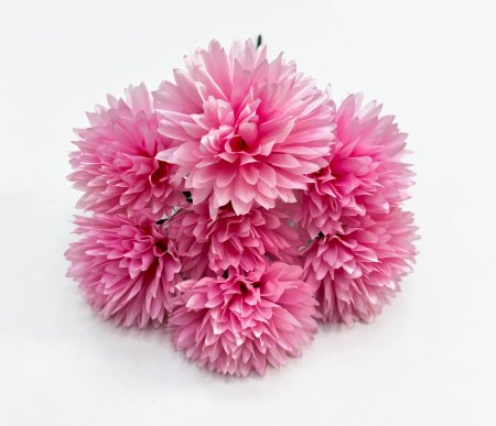 Хризантема "Репутация" 7 цветков