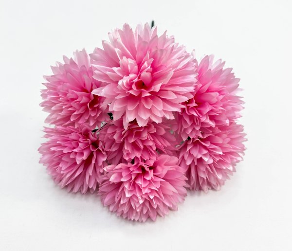 Хризантема "Репутация" 7 цветков