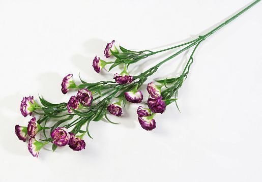 Ветка гвоздики 20 цветков Византия от магазина KALINA являющийся официальным дистрибьютором в России 