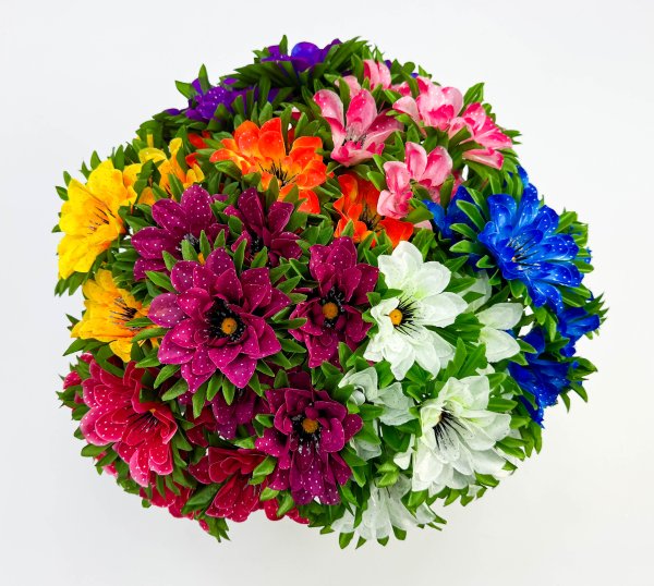 Георгин "Бурлак" 6 цветков