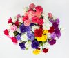 Роза "Брызги цвета" 18 цветков