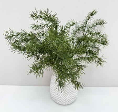 картинка Бонсай лиственница ветка темная от магазина KALINA