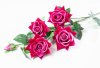 Ветка розы "Бургунди" 4 цветка