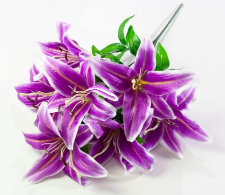 Лилия "Арабская ночь" 7 цветков