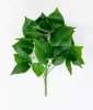 картинка Эпипремнум 9 веток от магазина KALINA