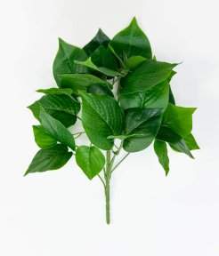 картинка Эпипремнум 9 веток от магазина KALINA