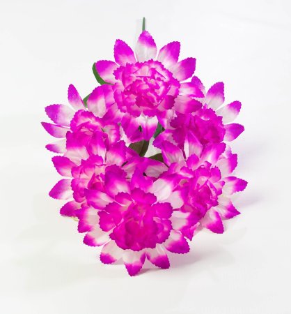 Шафран "Звезда малая" 6 веток