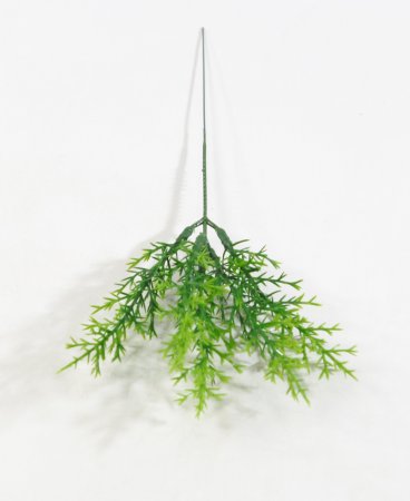 картинка Ветка туи складчатой малая от магазина KALINA