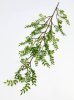 Рускус "Иглица" ампельный, искусственные цветы и декор КалинаКрас