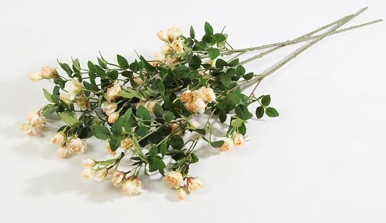 Кустовая роза персиковая от магазина KALINA являющийся официальным дистрибьютором в России 