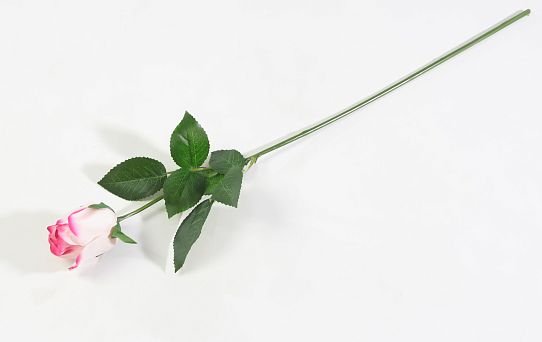 Роза с латексным покрытием малая гибридная от магазина KALINA являющийся официальным дистрибьютором в России 
