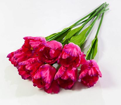 Тюльпан "Волнистый" (20 букетов по 8 штук) от магазина KALINA являющийся официальным дистрибьютором в России 