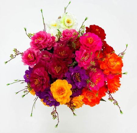 Георгин "Адъютант" 7 цветков