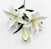 Ветка лилий "Сибирь" белая
