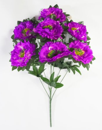 Букет пионов "Принцесса" 7 цветков