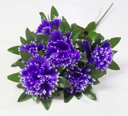 Букет хризантем "Кокарде" 6 цветков