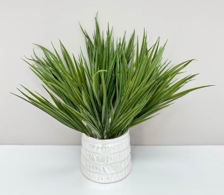 картинка Осока "Дачная"  от магазина KALINA