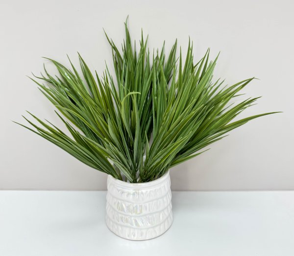 картинка Осока "Дачная"  от магазина KALINA