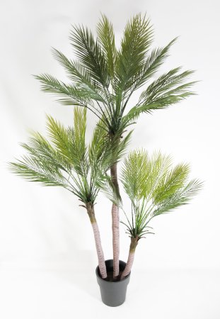 Пальма Арека 170 см БЕЗ КАШПО