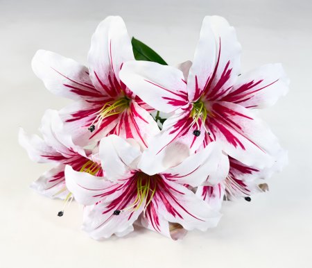 Букет лилий "Бодор" 5 цветков