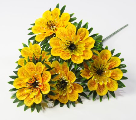 Георгин "Голубое знамя" 6 цветков