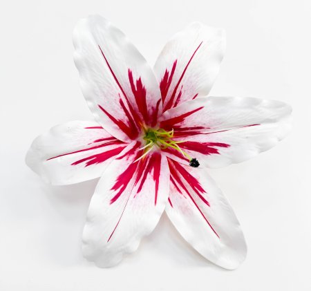 Насадка лилии латекс малиновая