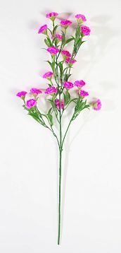 Ветка гвоздики 20 цветков розовая от магазина KALINA являющийся официальным дистрибьютором в России 