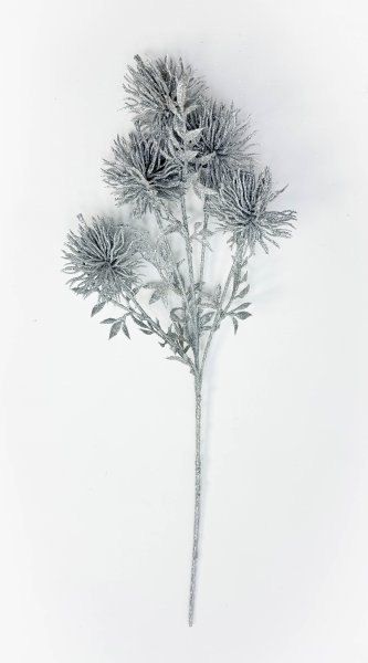 Репей крупный серебро