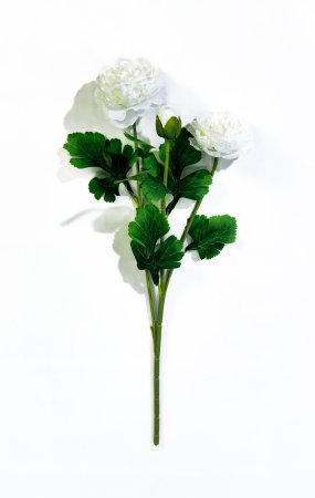 Пион Махровый 2 цветка 1 бутон белый