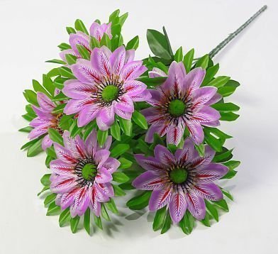 Гербера полосатая 6 цветков от магазина KALINA являющийся официальным дистрибьютором в России 